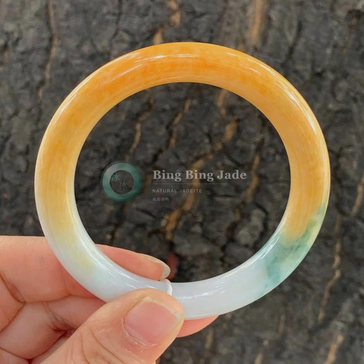 Yellow Fade with Soft Green Accent Jadeite Bangle