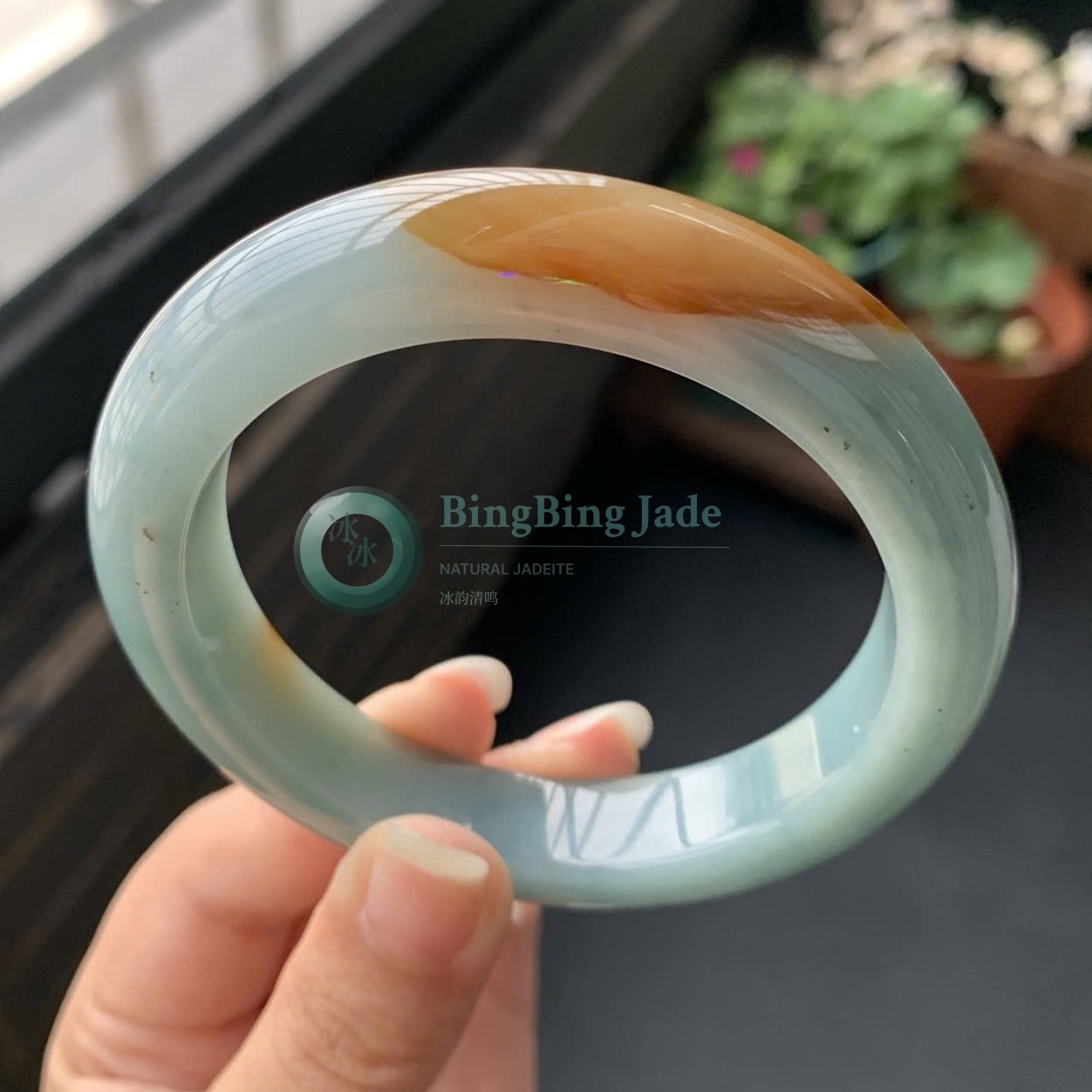 Icy Celadon with Honey Bloom Jadeite Bangle 57mm