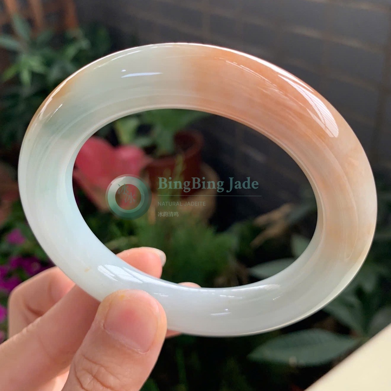 Warm Honey Drift on Pale Celadon — Round Bangle 58mm