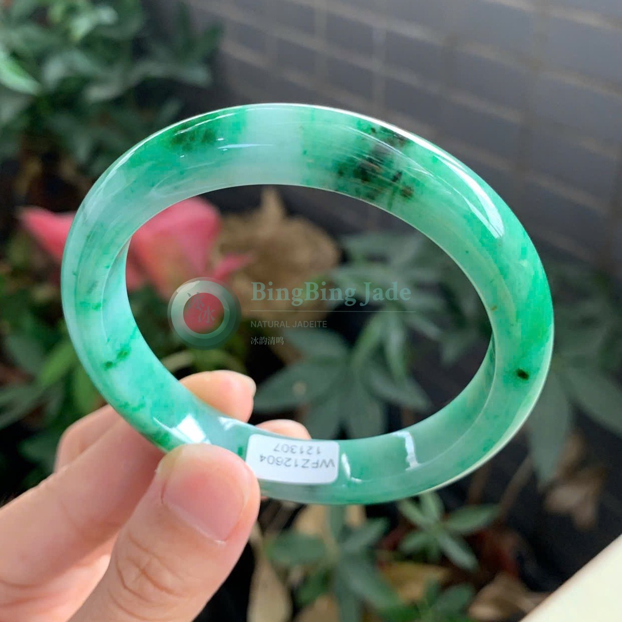 Emerald Drift on Pale Mint — Jadeite Bangle 58mm