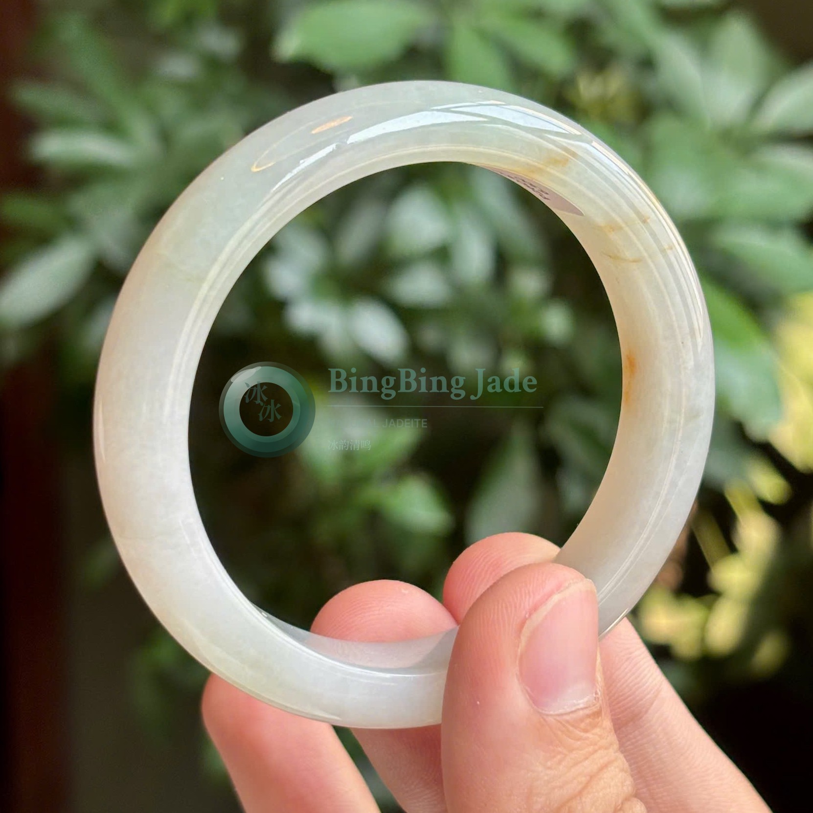 Snow Jelly Bangle with Koi Brushstrokes 57.5mm