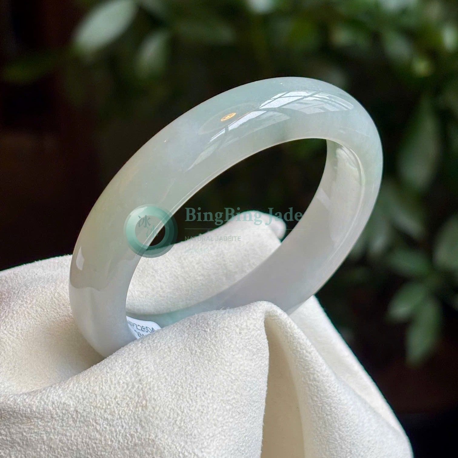 Blueish White Jelly Translucency Bangle 55.7mm