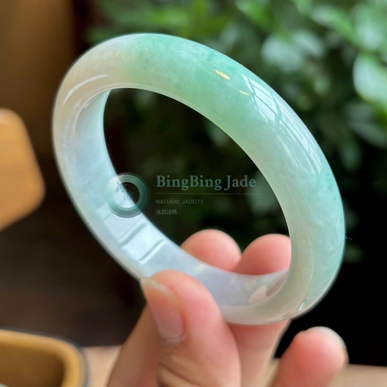 Gentle Spring Waters Jadeite Bangle 60mm — Soft Green Over Milky Translucency