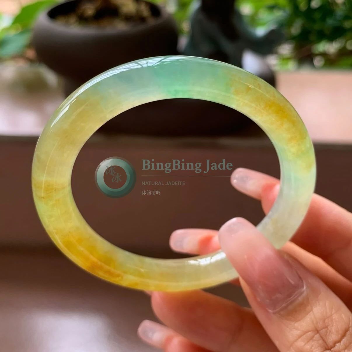 Honey & Spring Green Sunflower Field Jelly Bangle 53mm