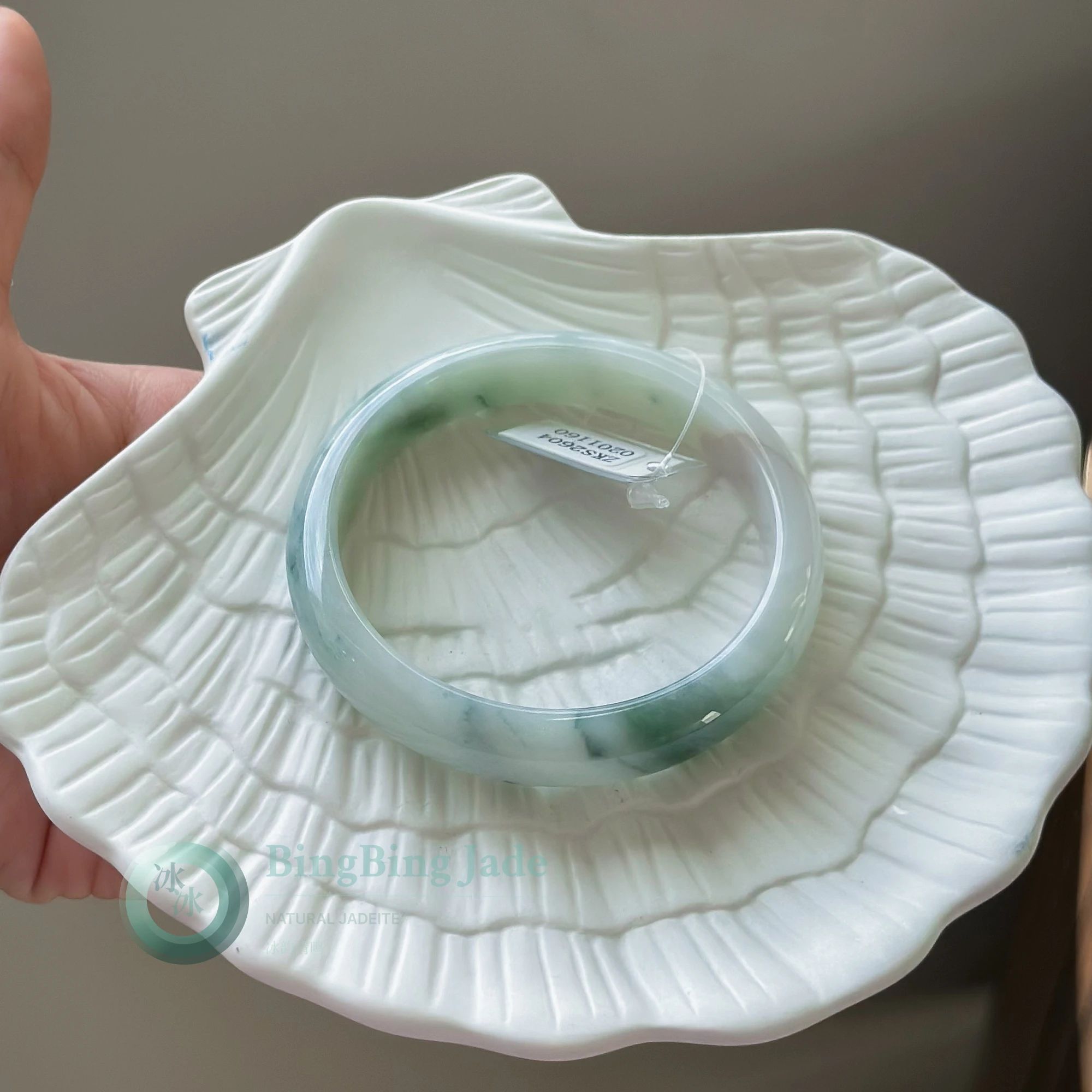 Ocean Drift — Pale Celadon Bangle with Seafoam Green Veils 56.8mm