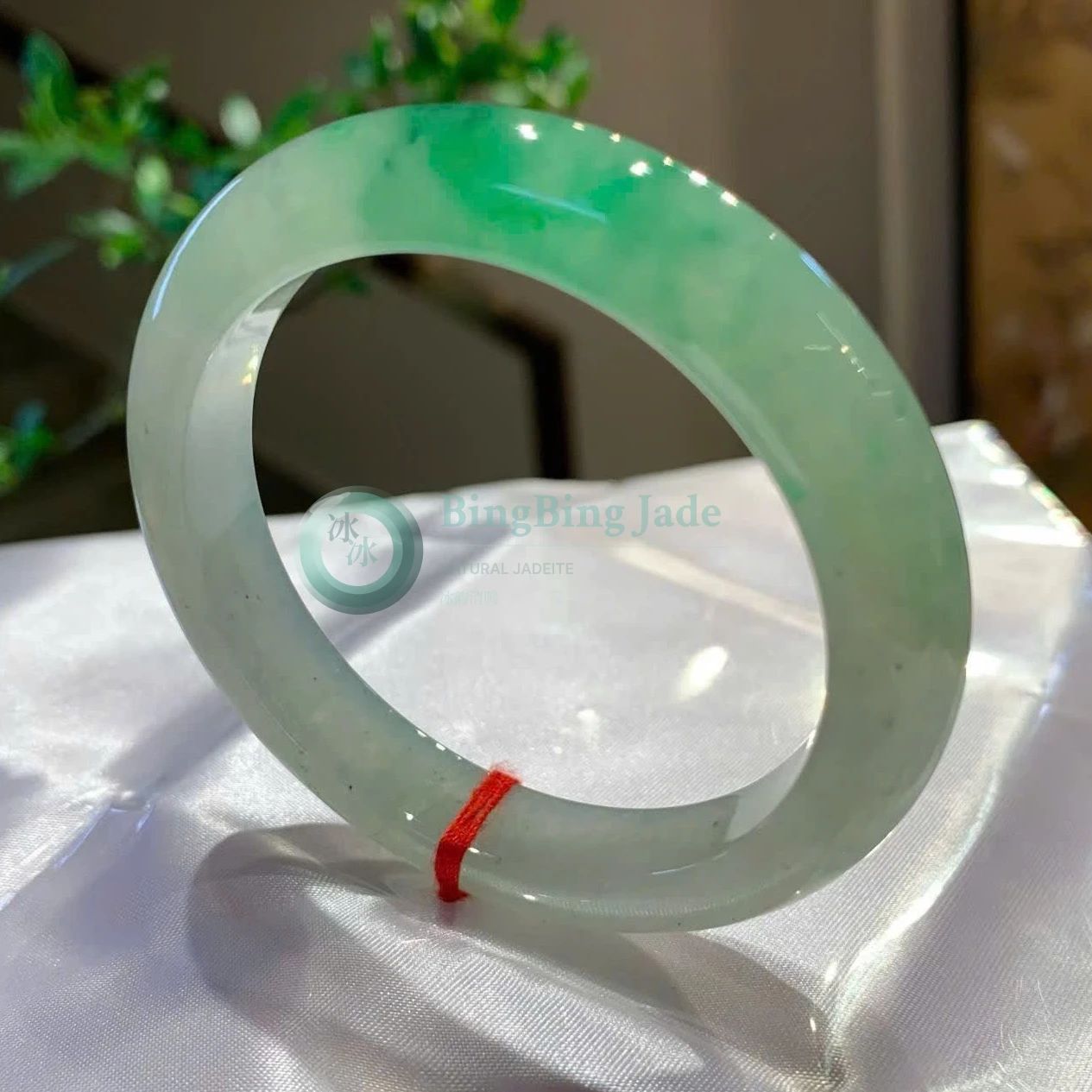 Icy Celadon Bangle with Vivid Emerald Bloom 53mm