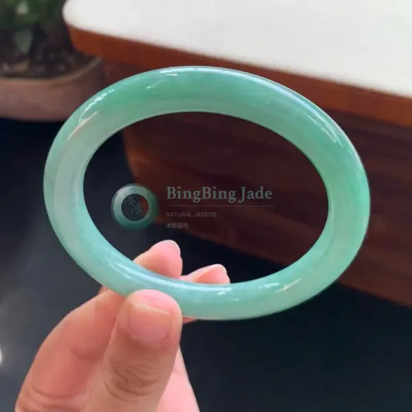 Spring Meadow Glow Jadeite Bangle 55mm