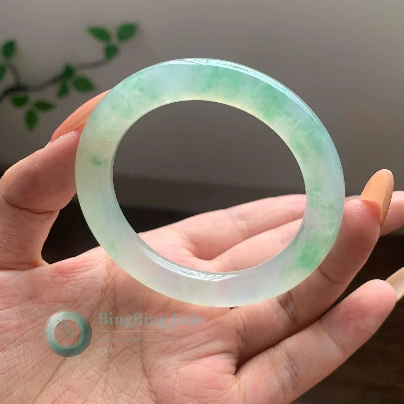 Icy Spring Float Jadeite Round Bangle 52.5mm