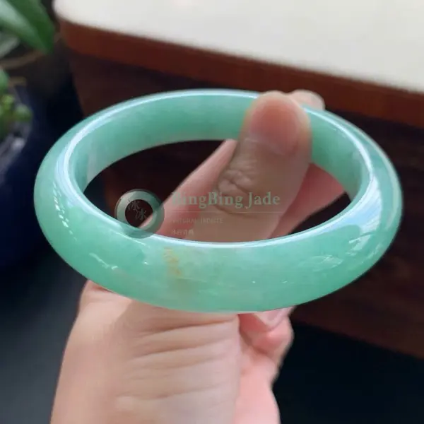 Spring Meadow Translucent Jadeite Bangle 58.7mm