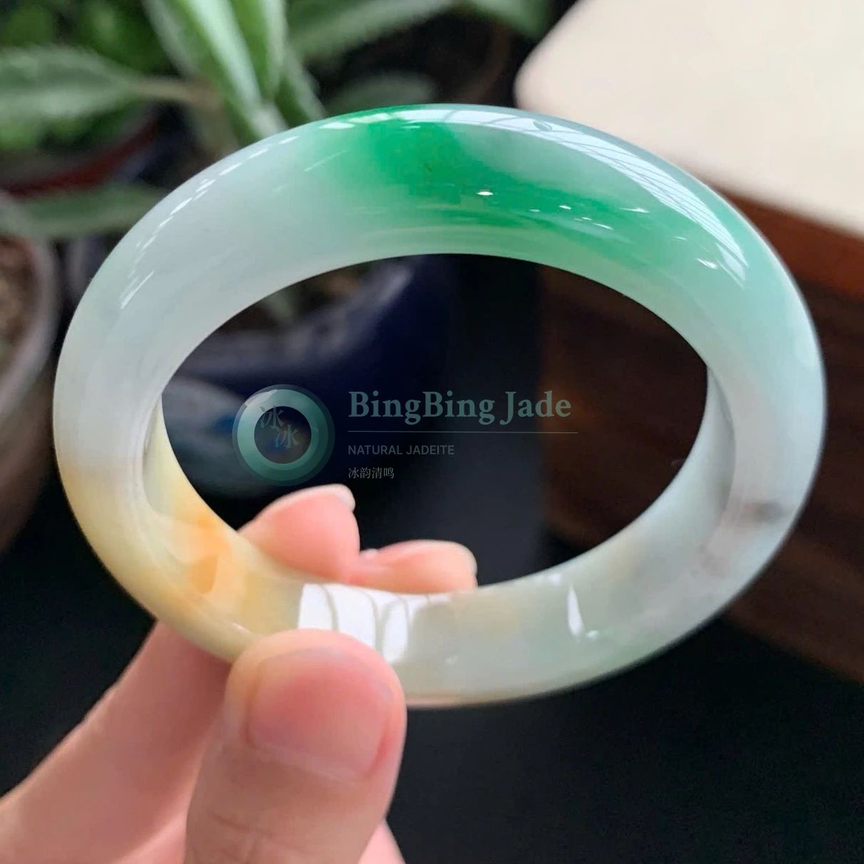 Pale Celadon with Emerald Splash & Honey Accent Bangle 52mm