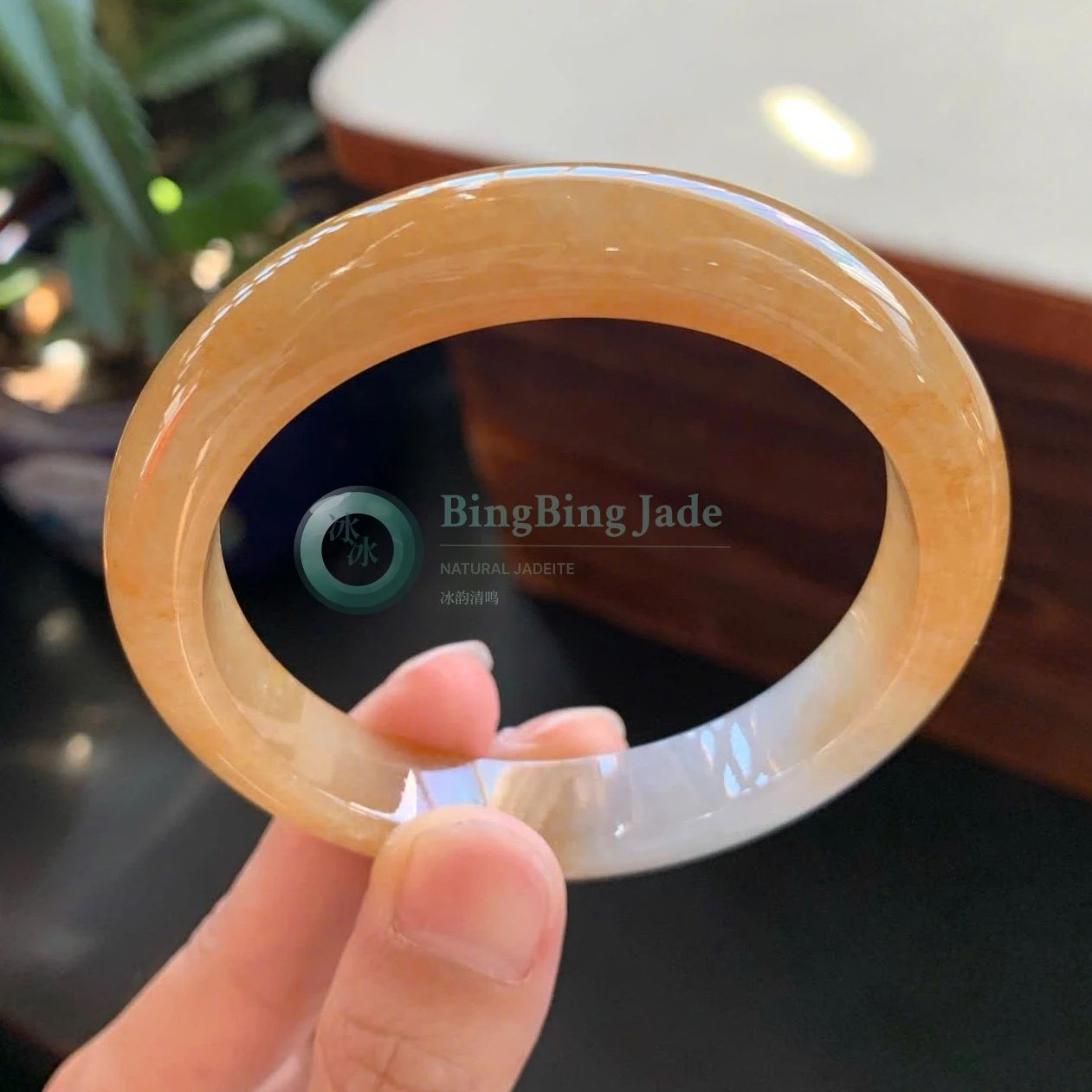 Honeyed Amber Glow Jadeite Bangle 57mm