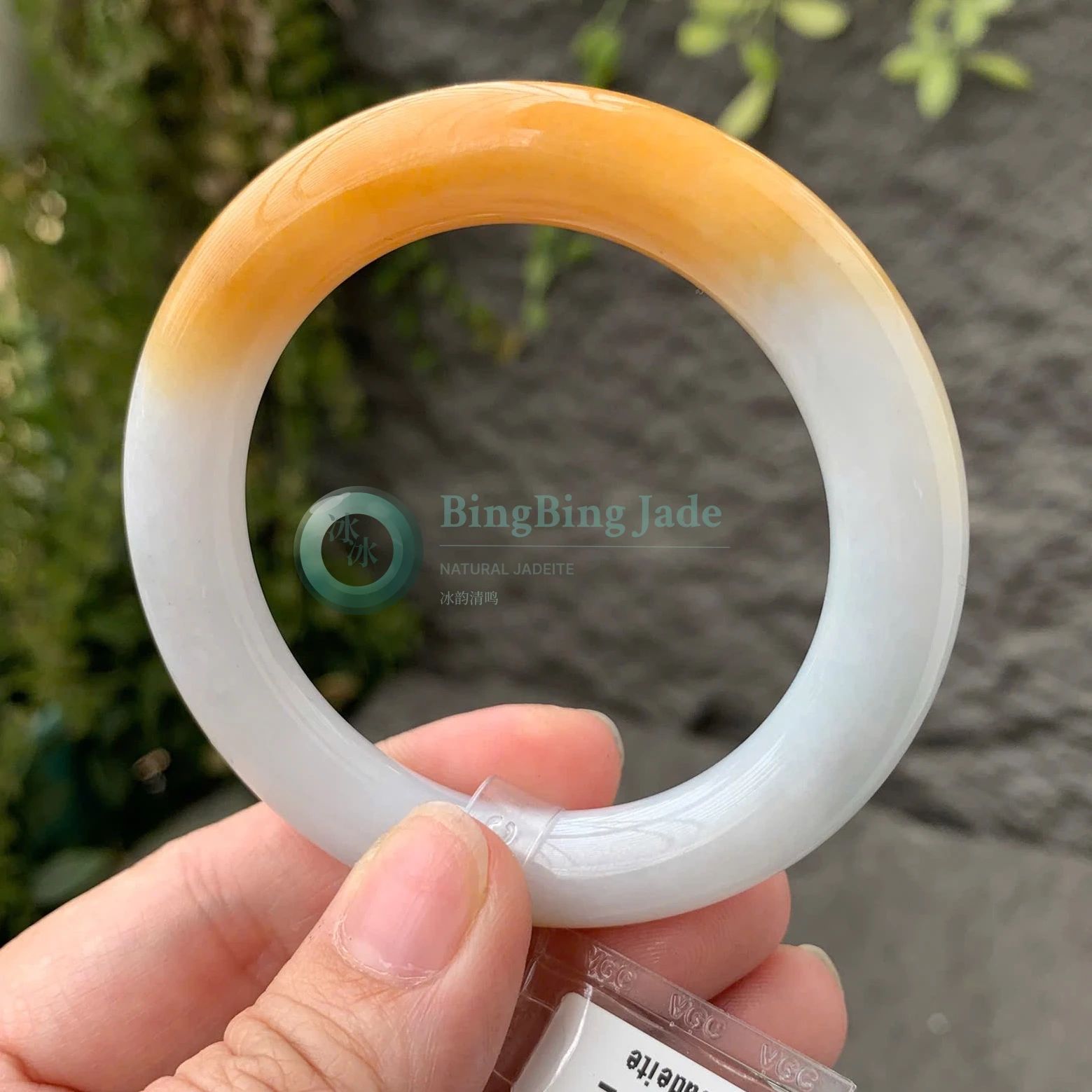 Honey Crown over Milky White Jadeite Bangle 50mm