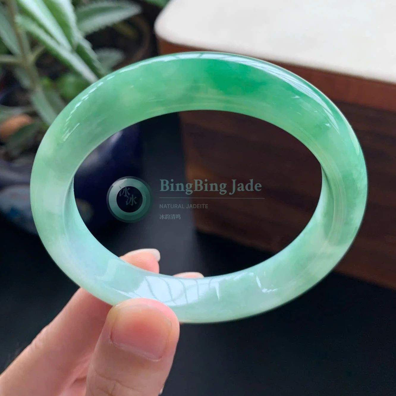 Spring Mist with Emerald Drift Bangle 56mm