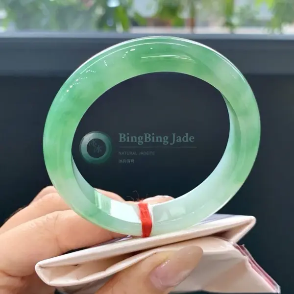 Spring Mist with Emerald Bloom Jadeite Bangle 53mm