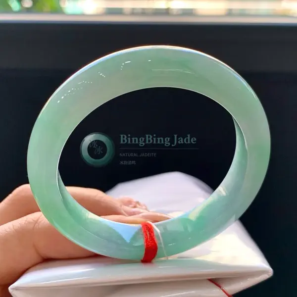 Pale Apple Green Spring Green Jelly Bangle 51mm