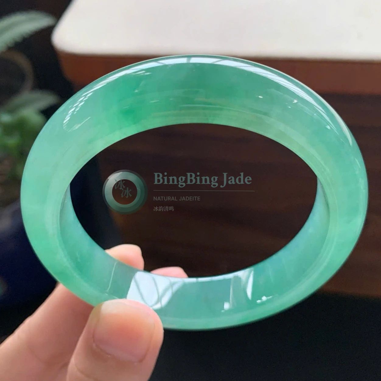 Icy Spring Green Jadeite Bangle 56mm — Luminous Jelly Translucency