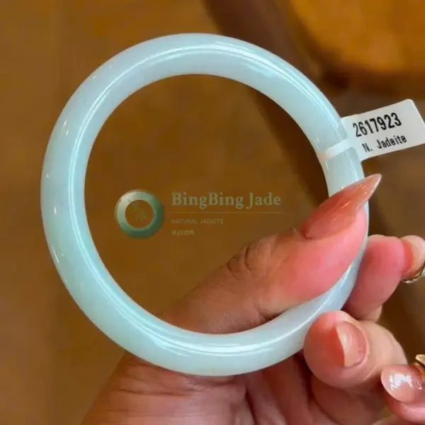 Pale Celadon Glow Jadeite Bangle 53.5mm
