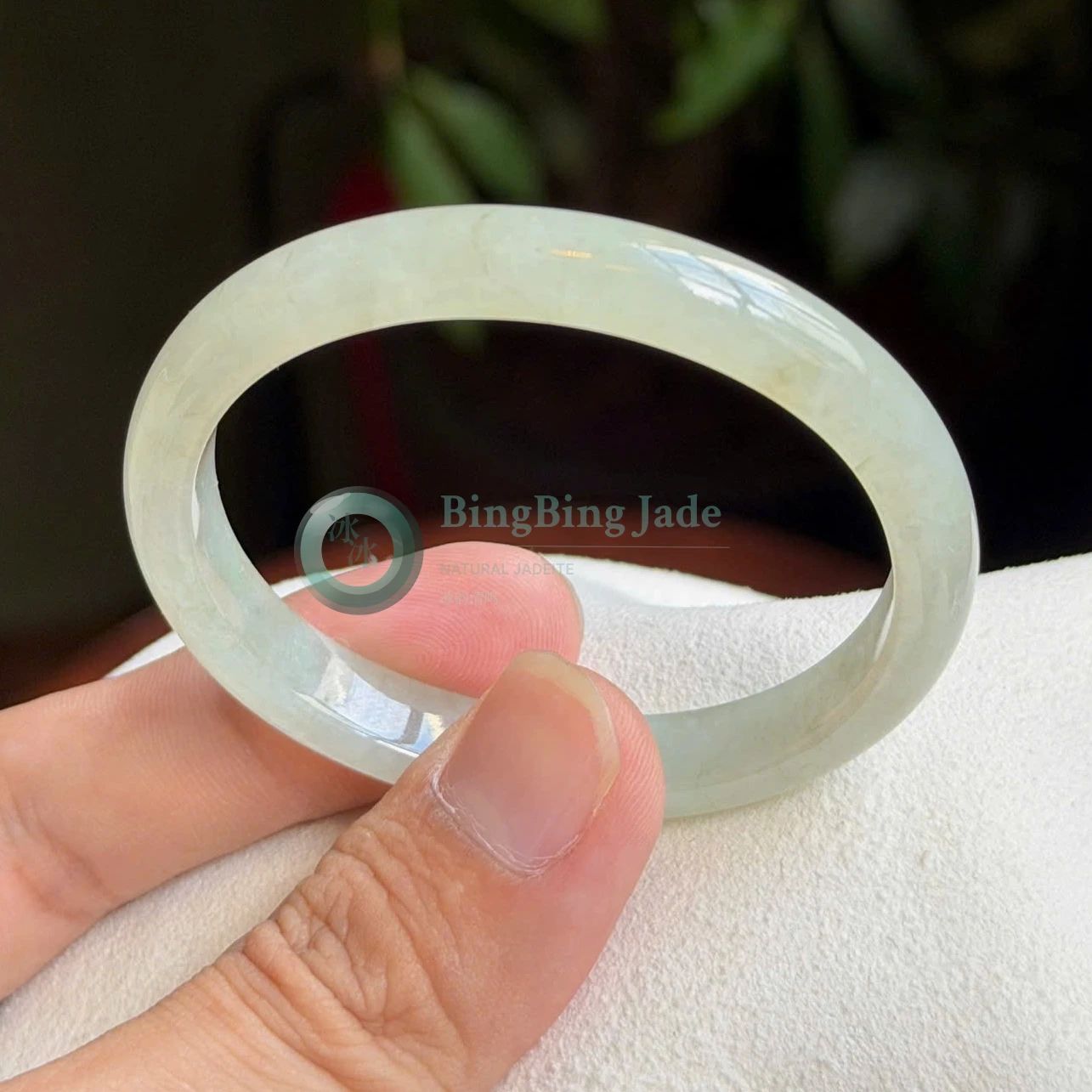 Tea Green Glow Oval Jadeite Bangle 54.5mm