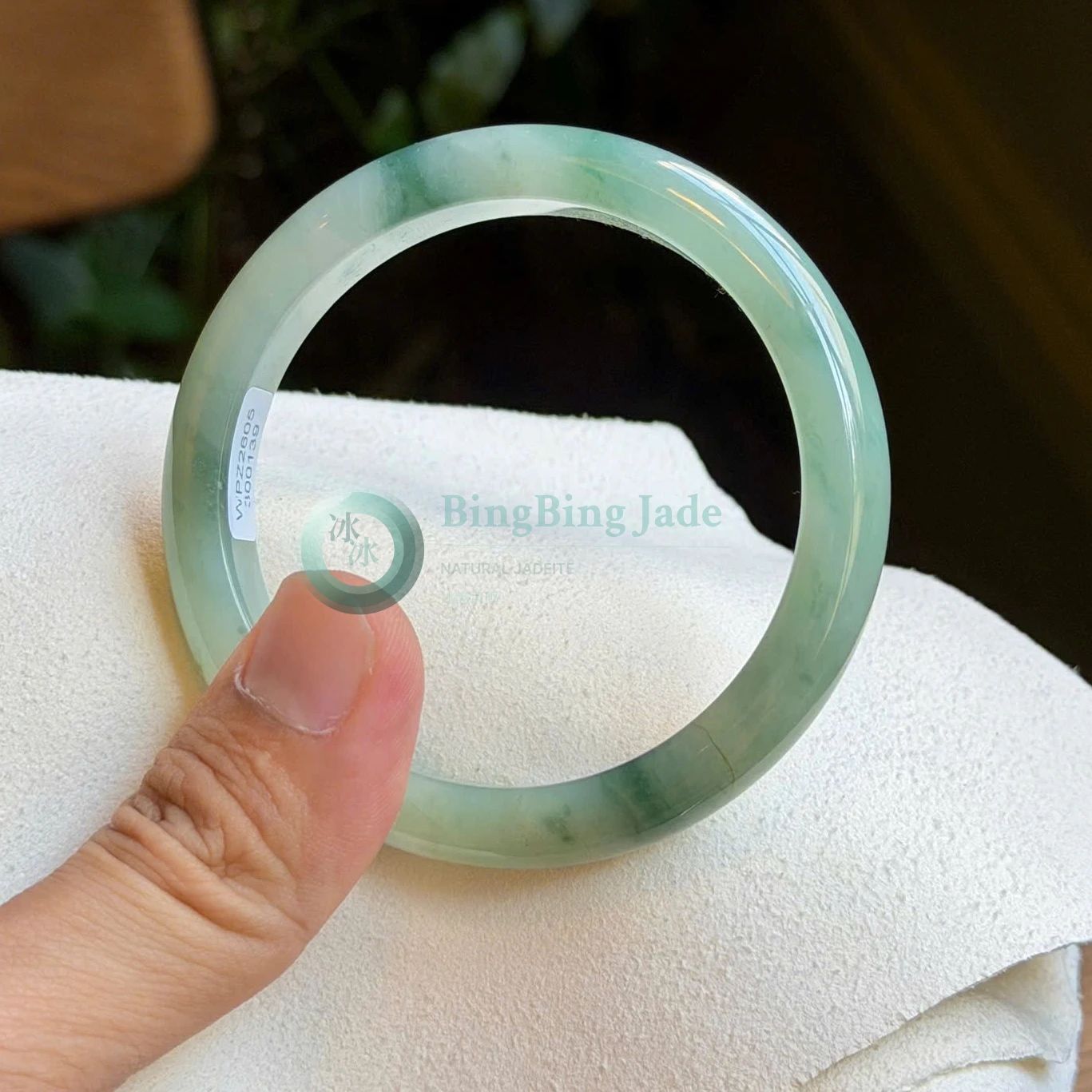Icy Glutinous Blue-Green Mist Bangle 59.8mm — Floating Colour on Jelly Canvas