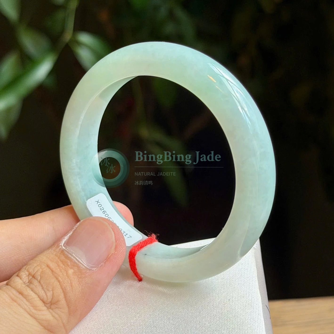 Pale Celadon Mist Rounded Bangle 54.5mm