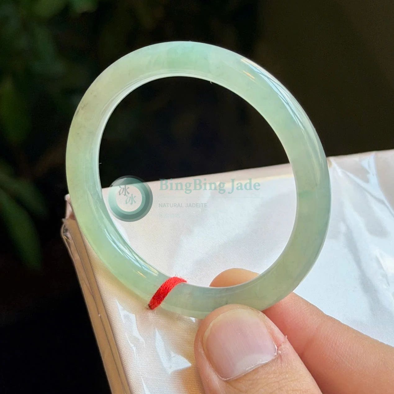 Icy Glutinous Pale Celadon Bangle 51mm — Dewy Glass Clarity