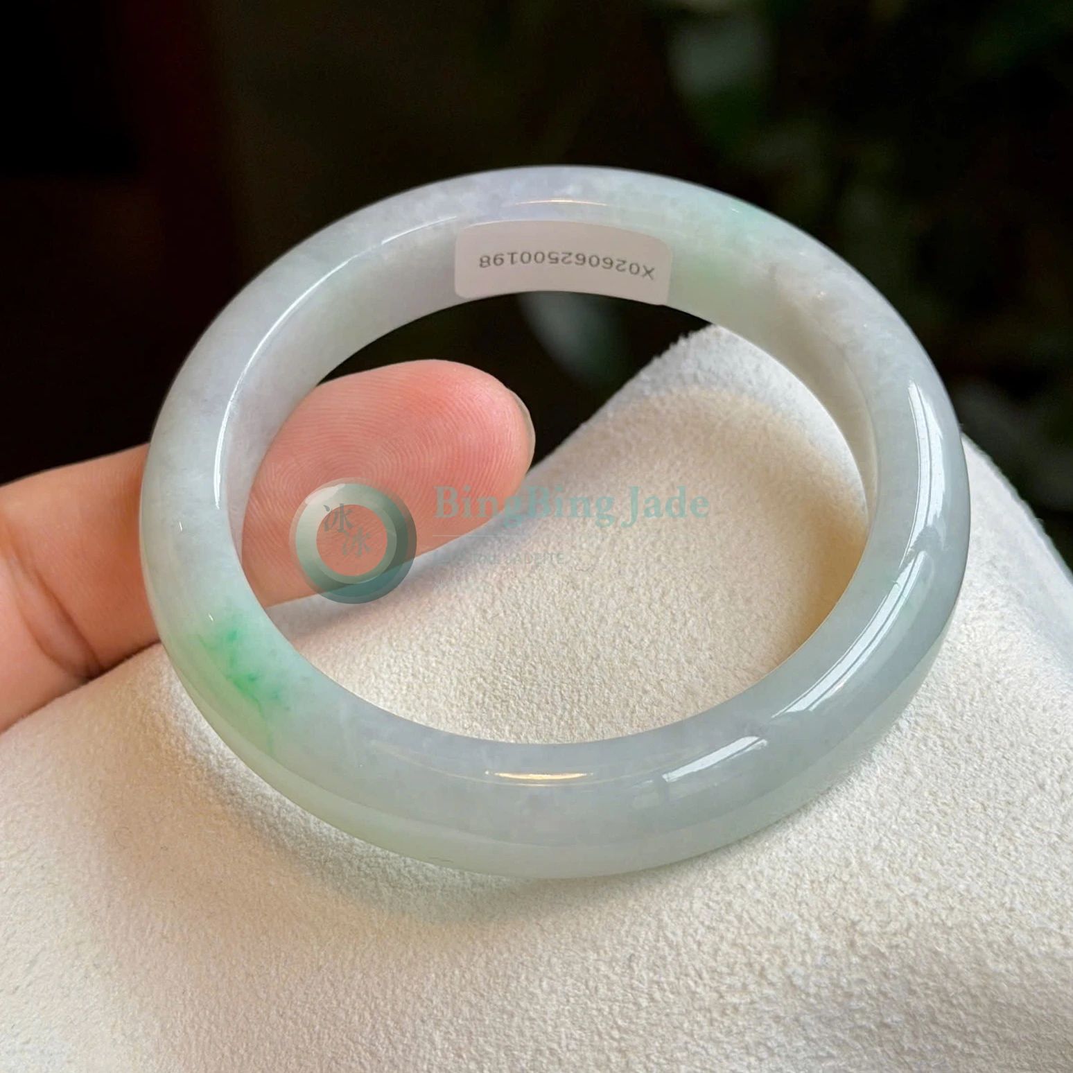 Spring Mist with Floating Green Blossoms — Narrow Bangle 54.8mm