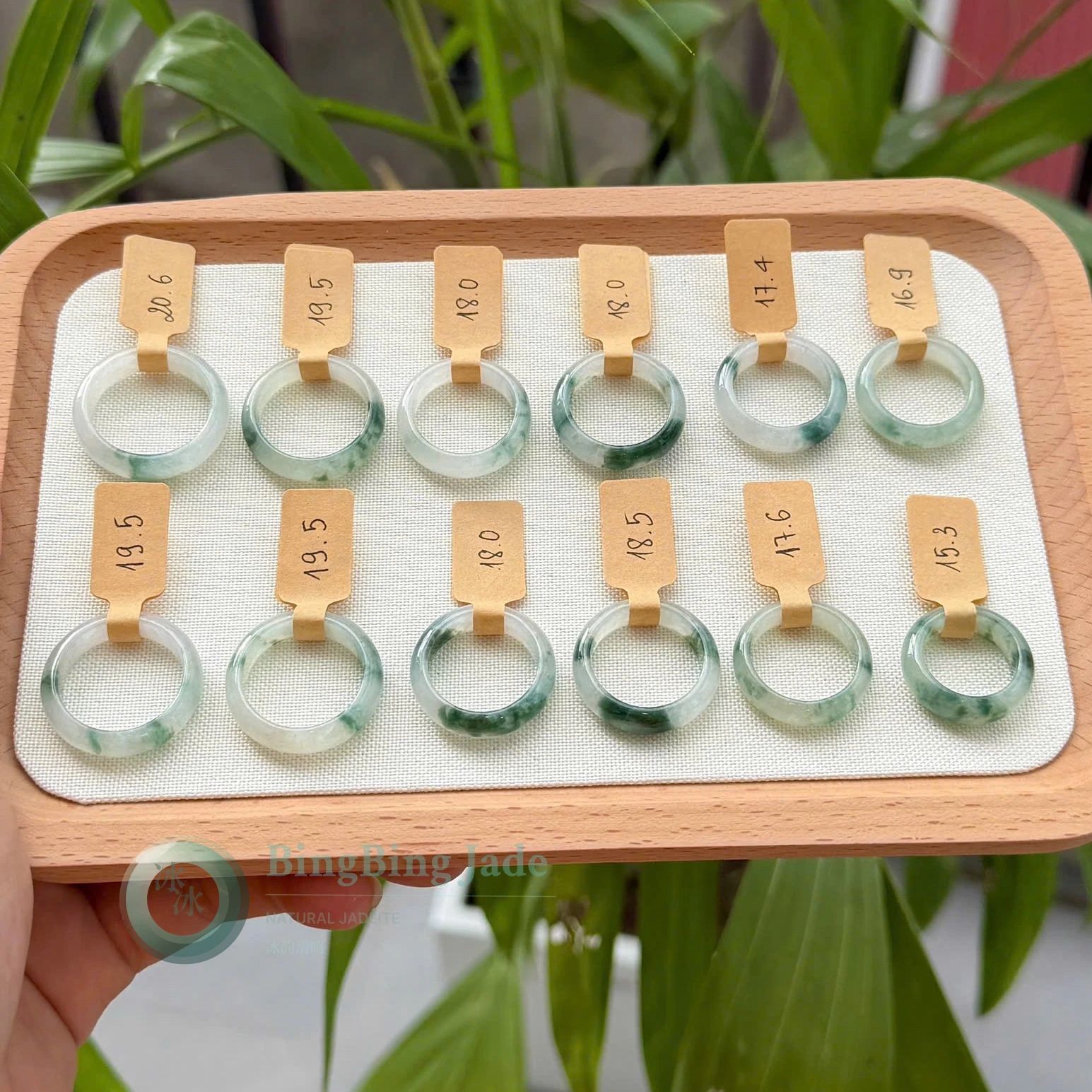 Icy Glutinous Floating Moss Jadeite Ring