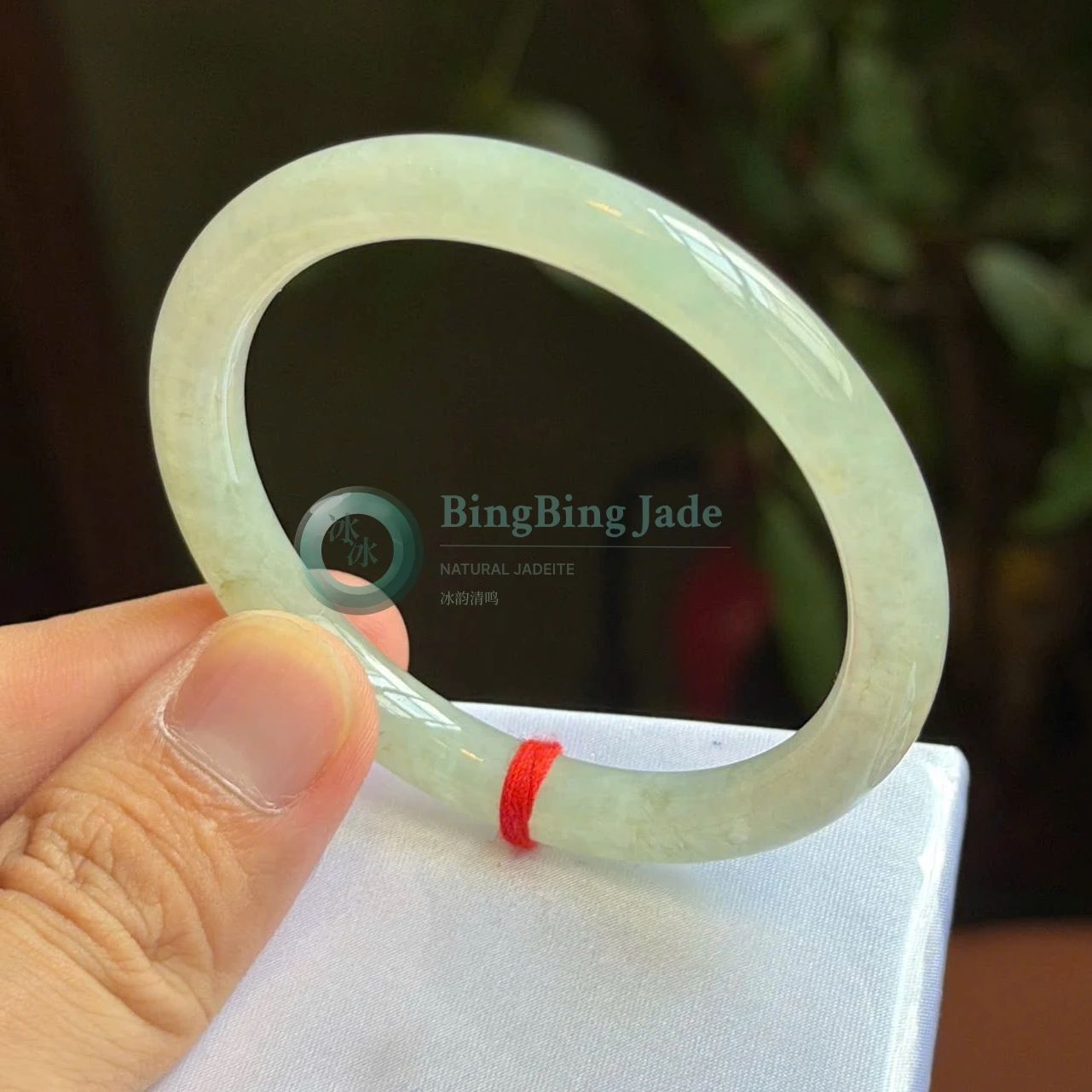 Icy Glutinous Pale Celadon Bangle 56.6mm