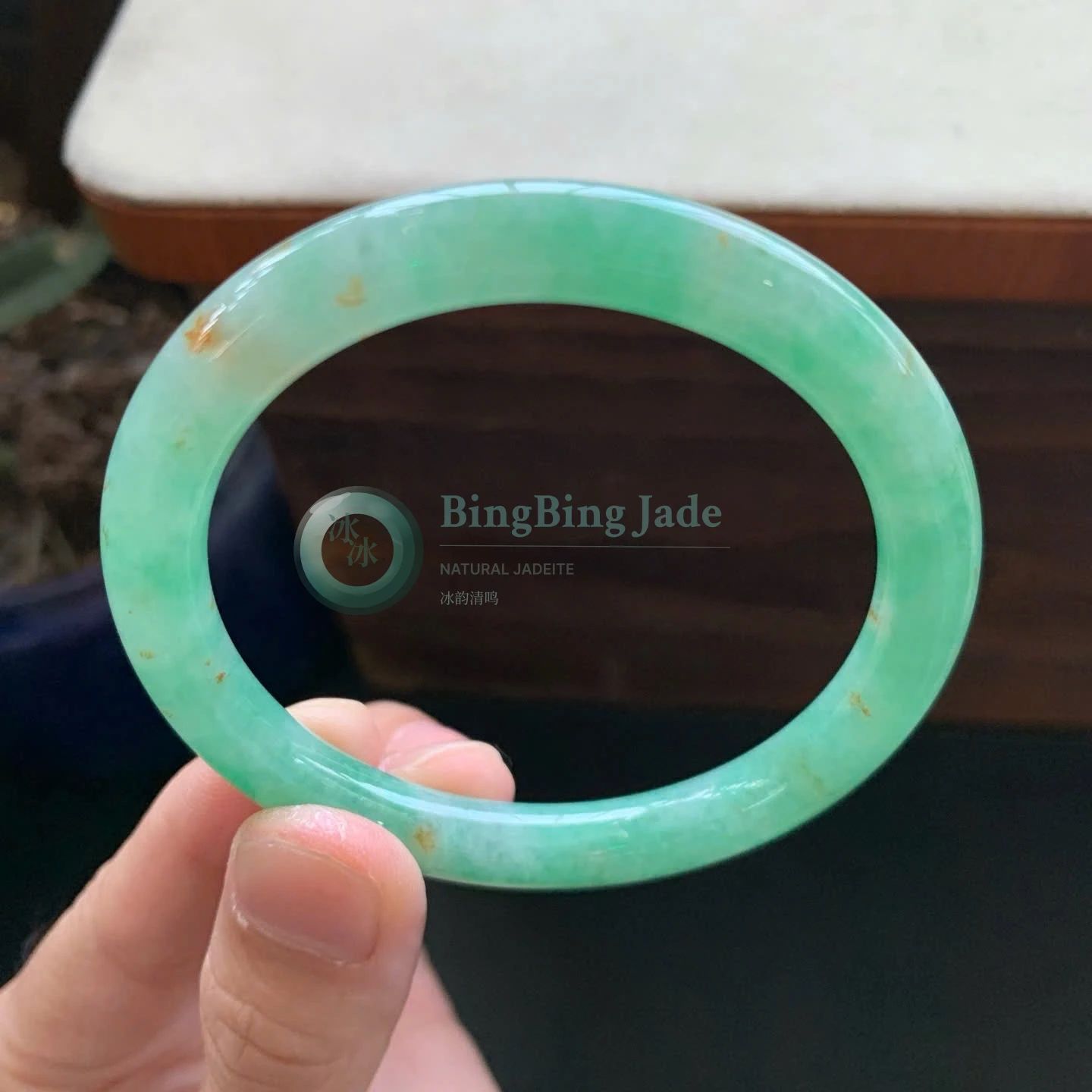 Spring Meadow Jadeite Bangle 53.5mm — Vivid Green Patches on Soft Celadon