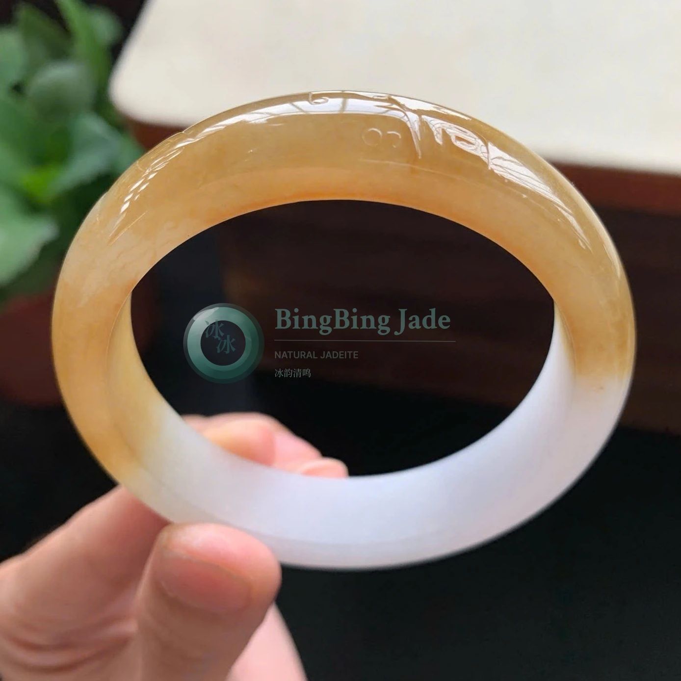 Honey & Snow Icy Glutinous Bangle 55mm