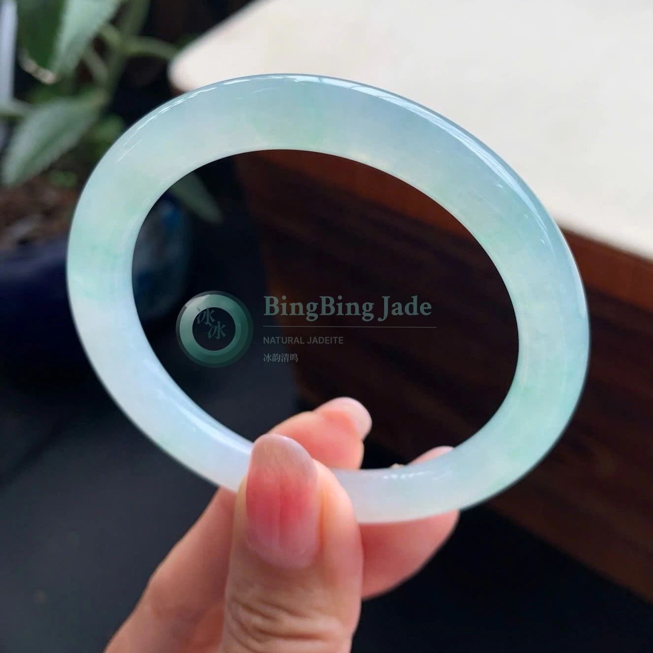 Icy Pale Aqua Jadeite Bangle 53mm — Still Water Translucency