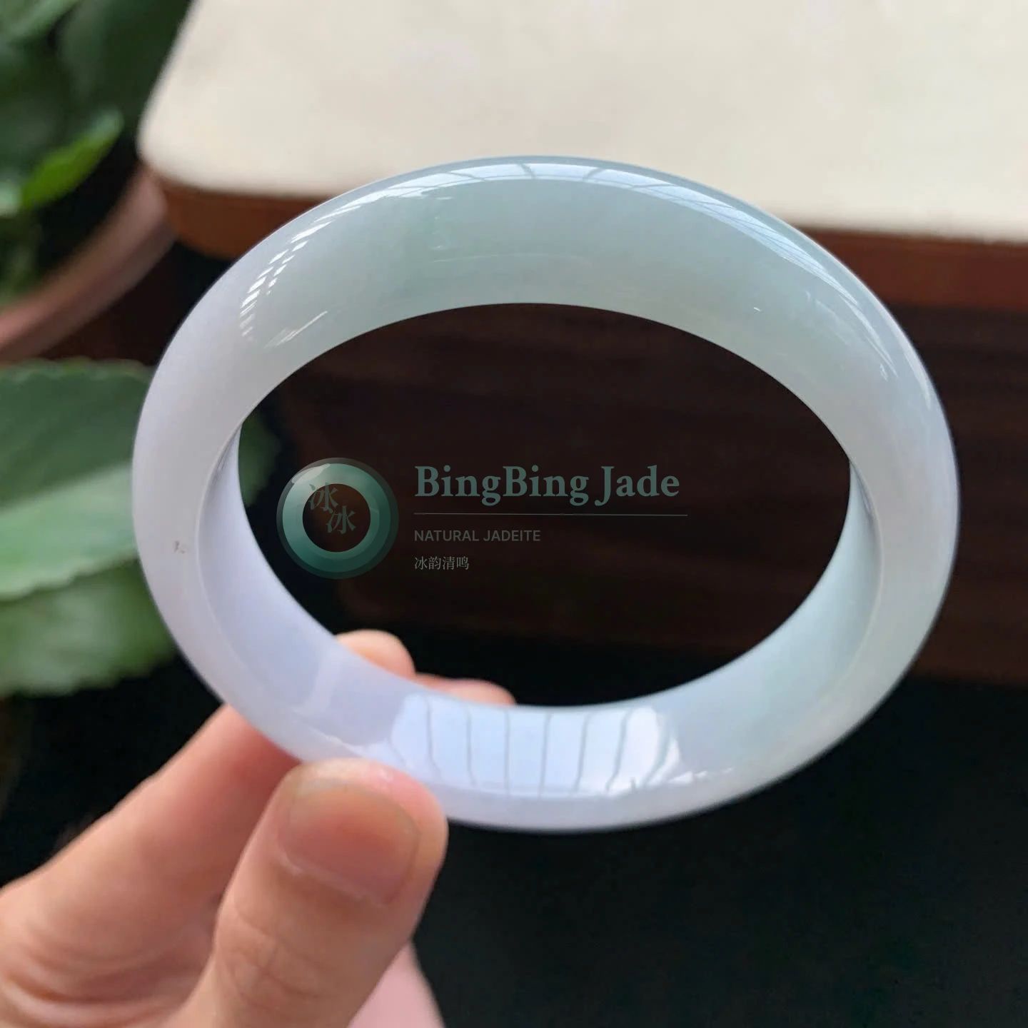 Moonlight Jelly Bangle 57.6mm — Soft Ethereal Glow