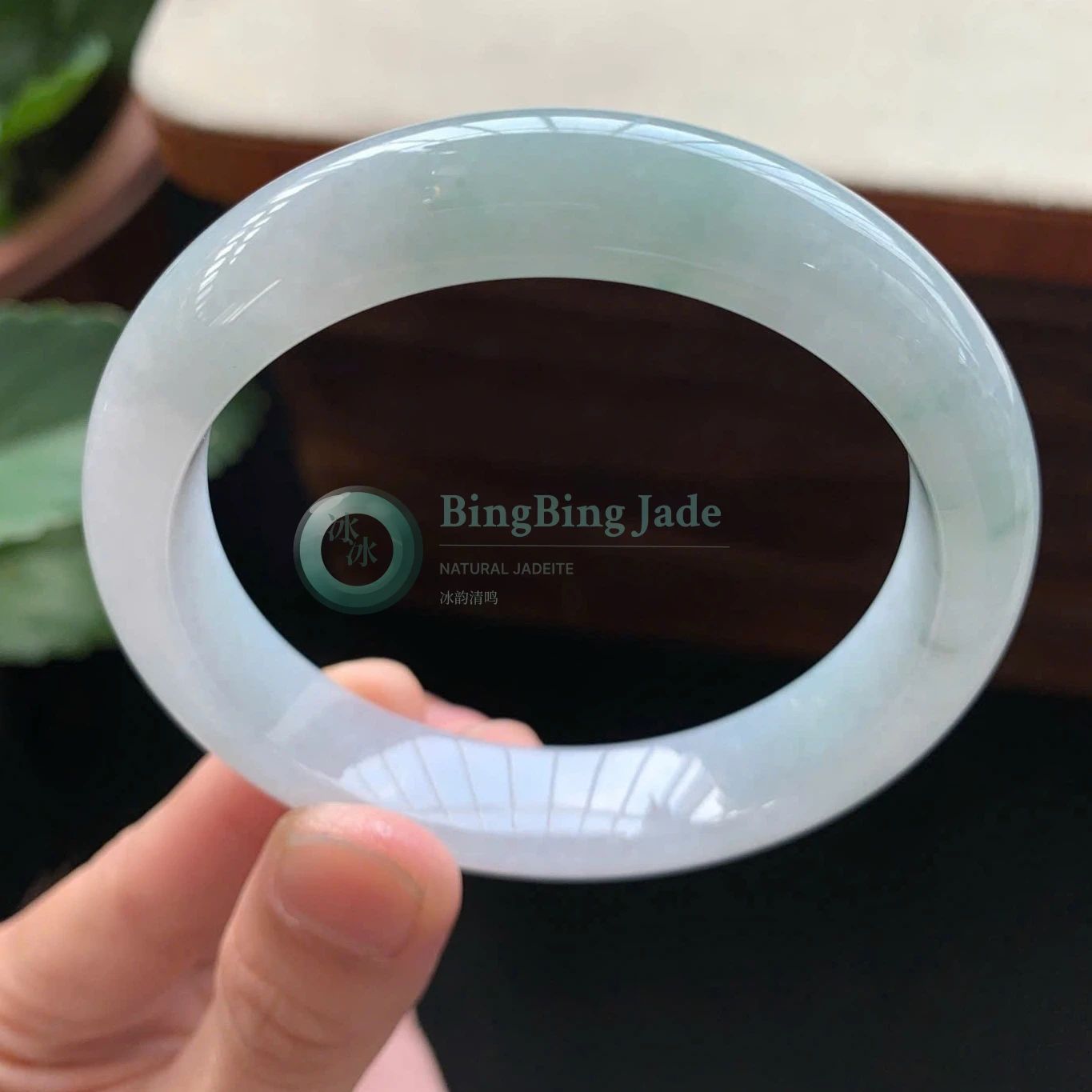 Soft Moonlit Veil Jadeite Bangle 58mm Nice Translucency