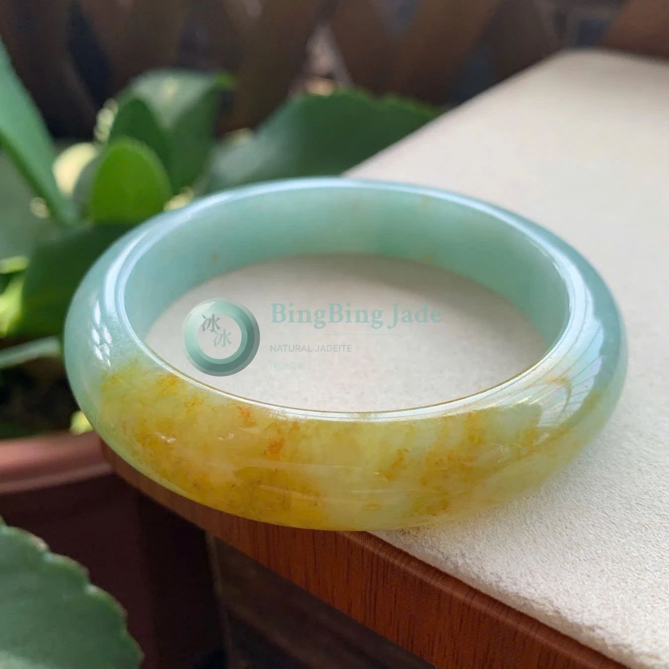 Sunlit Honey & Celadon Jadeite Bangle 58mm