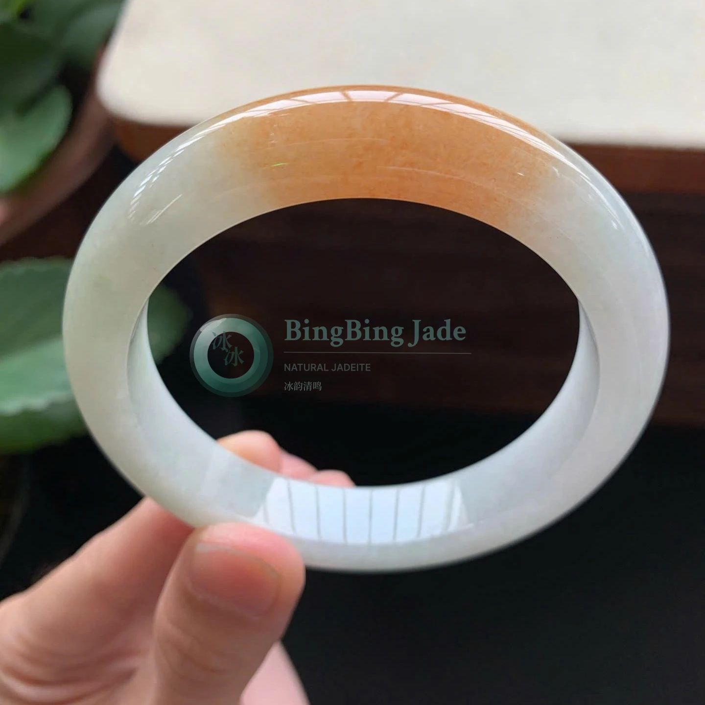 Warm Honey Drift on Pale Celadon — Jadeite Bangle 58.6mm